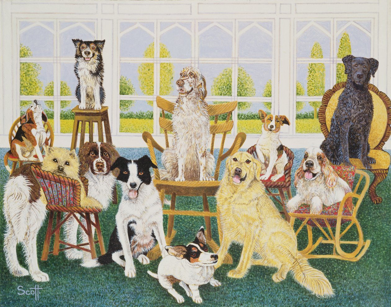 Dans la niche du chien - Pat Scott