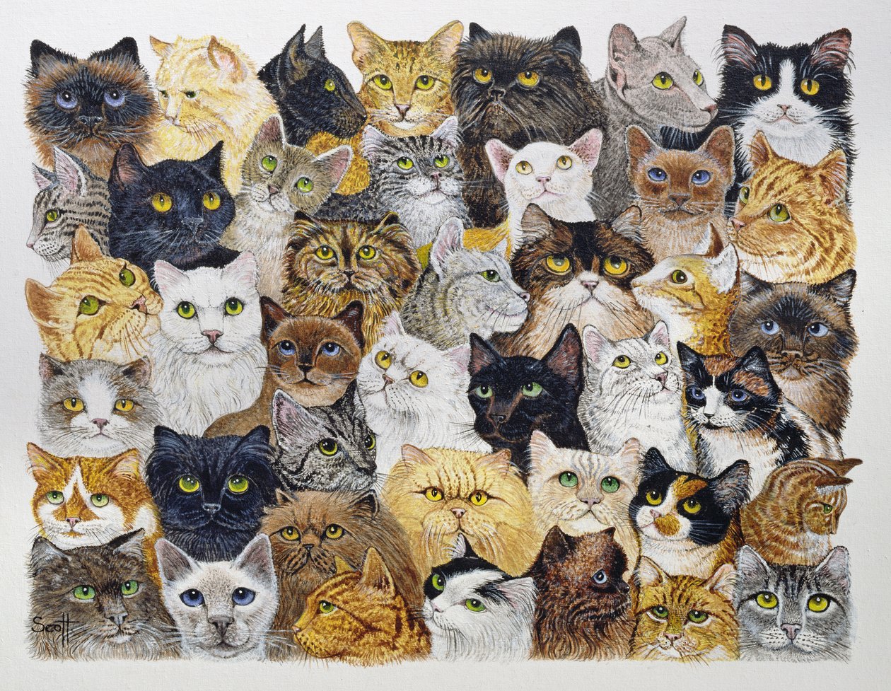 Juste le museau du chat (acrylique sur calicot) - Pat Scott