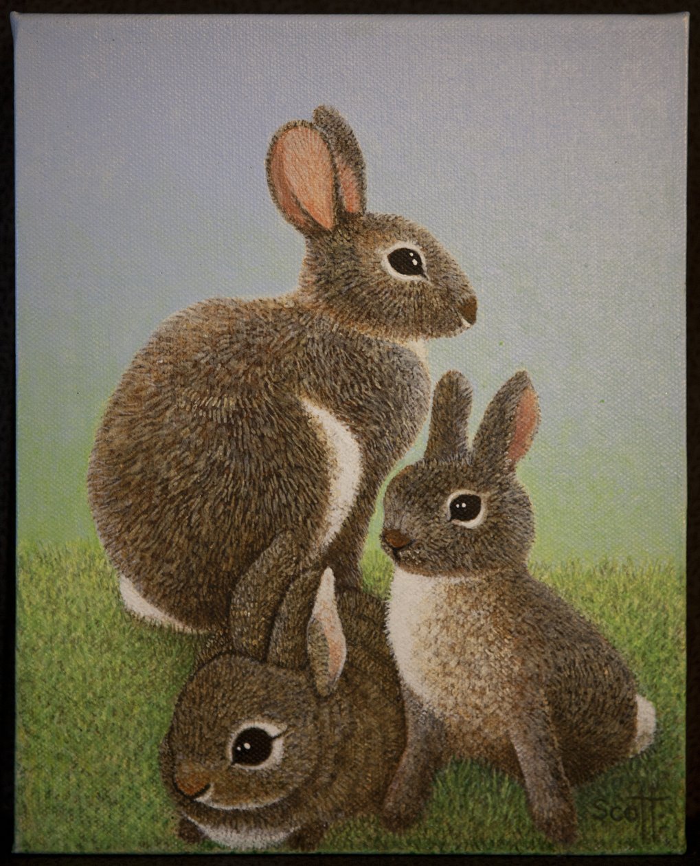 Famille Lapin, 2016 - Pat Scott