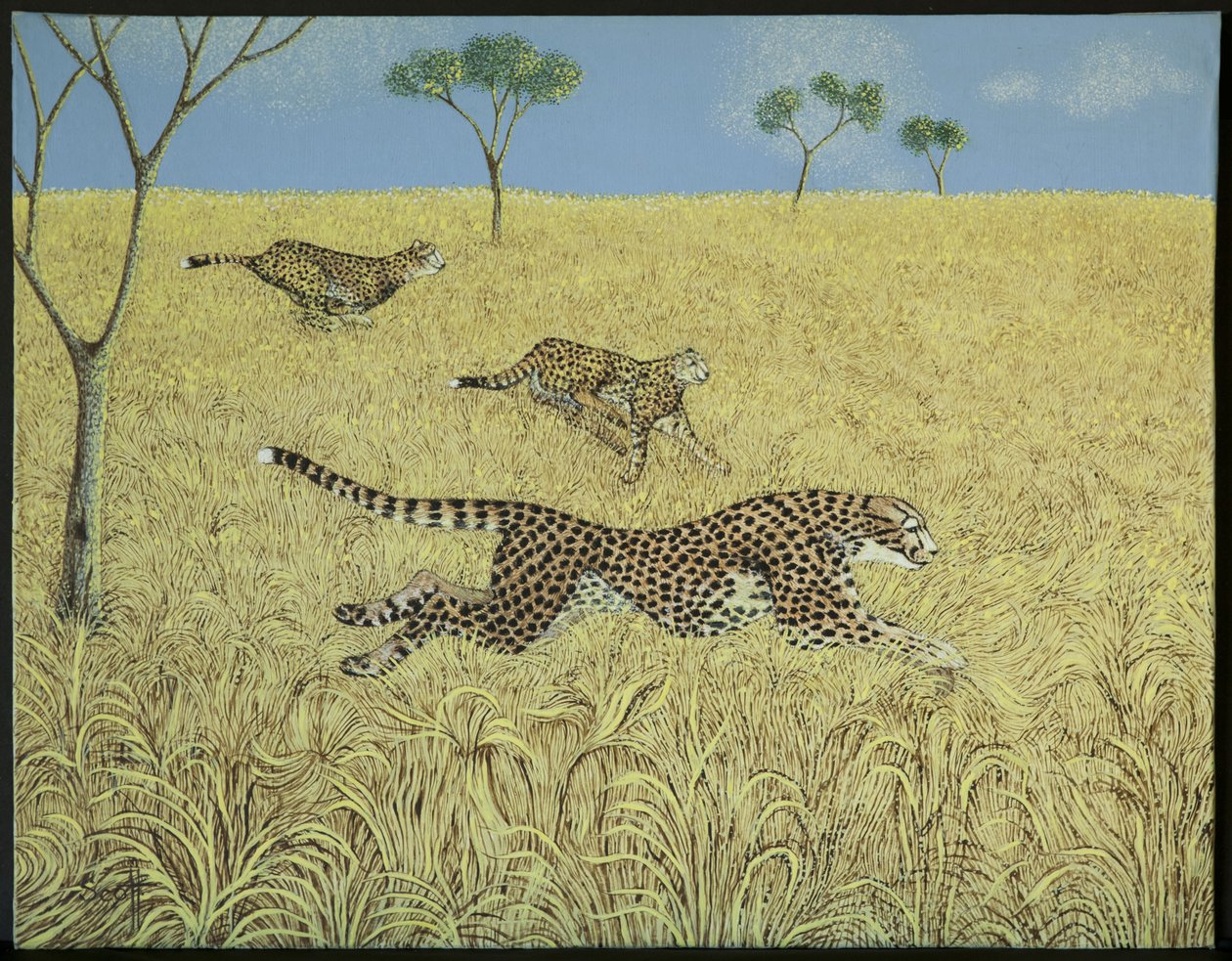 La vitesse pure - Pat Scott