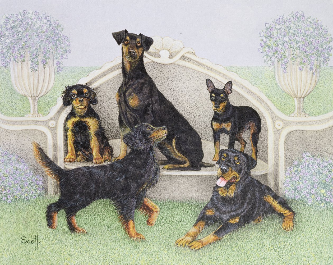 Thé sur la terrasse - Pat Scott