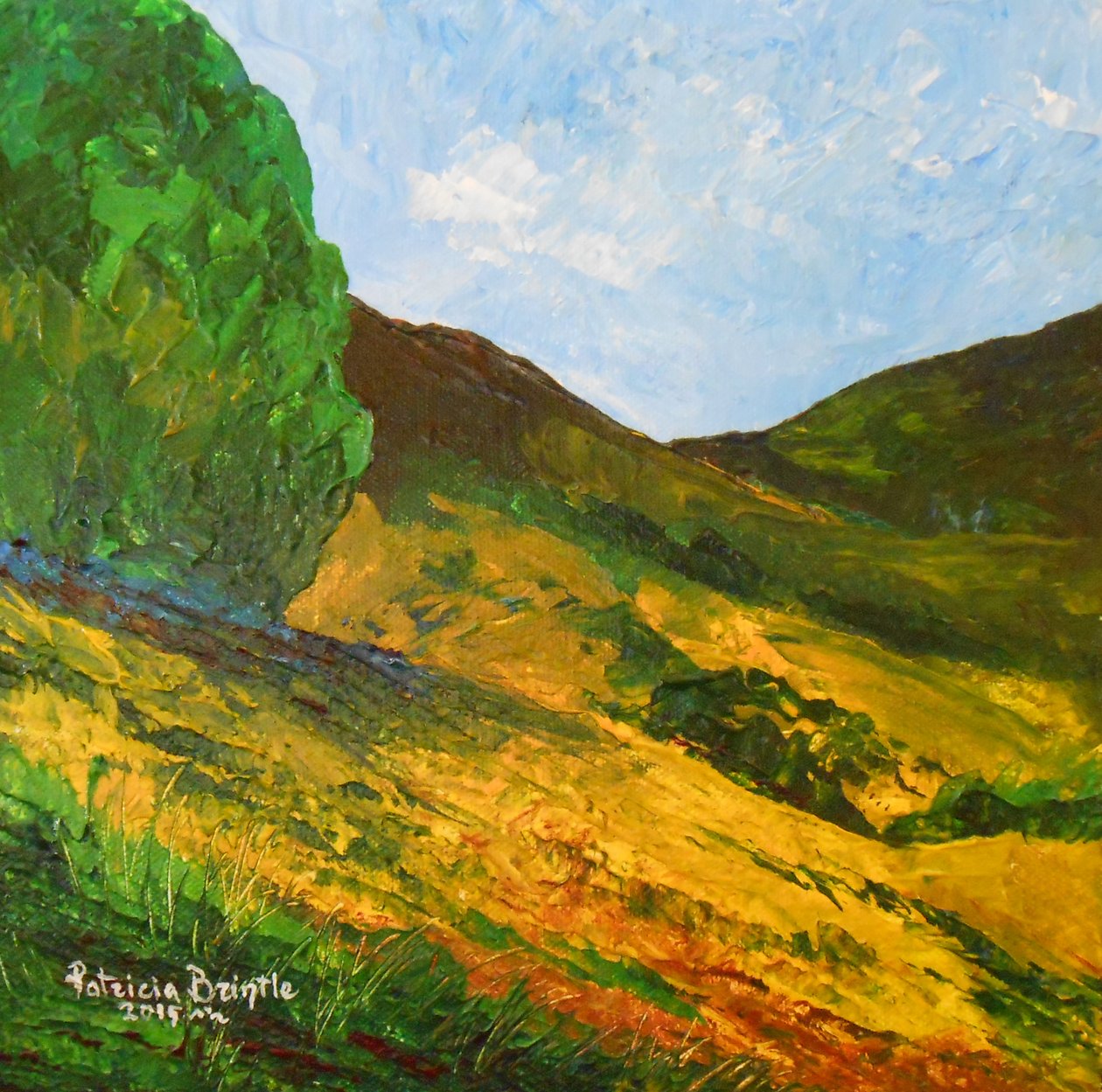 Morne La Selle, 2015 - Patricia Brintle