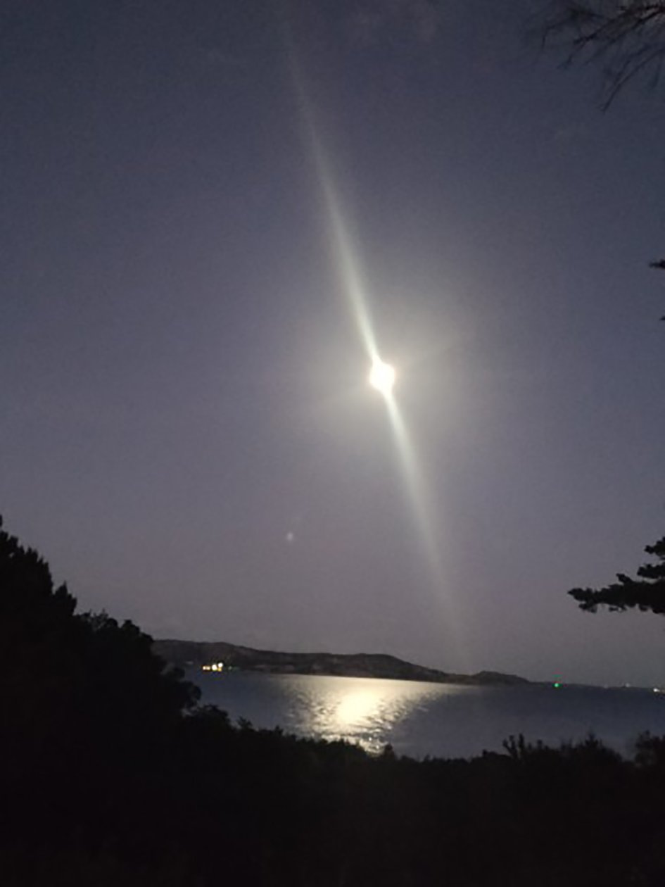  - Patrizia La Porta