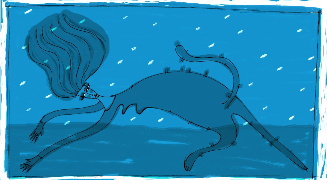 Strega del Tchesal (Chiesale) : sorcière qui se transforme en chat pour espionner les hommes. Illustration de Patrizia La Porta - Patrizia La Porta