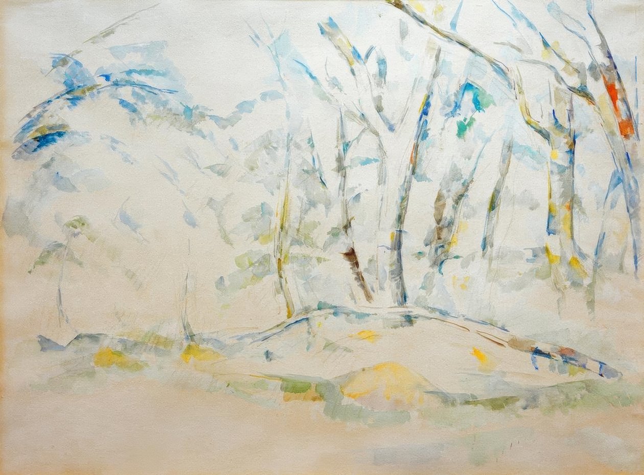 Sous-bois - Paul Cézanne