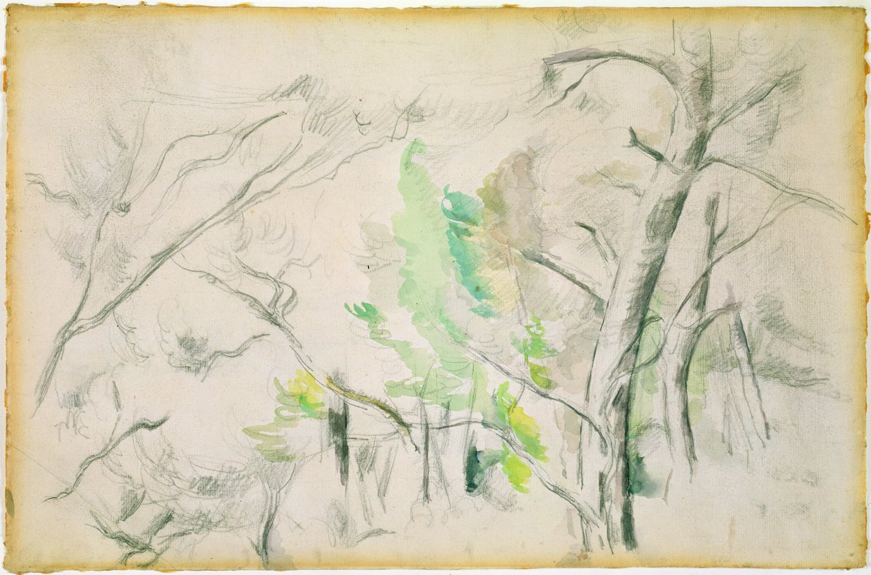 Woodside - Paul Cézanne