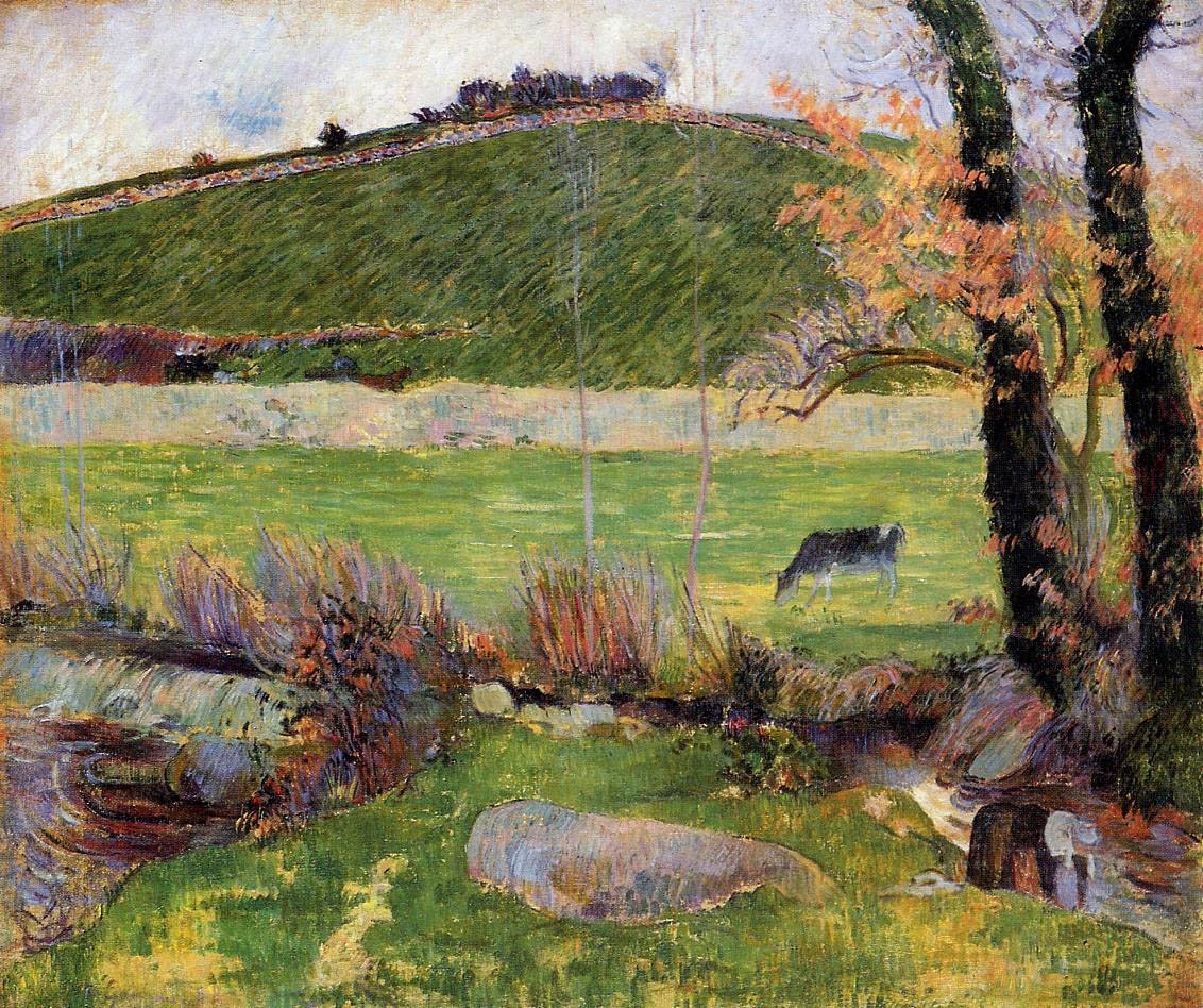 Un pré sur les rives de l