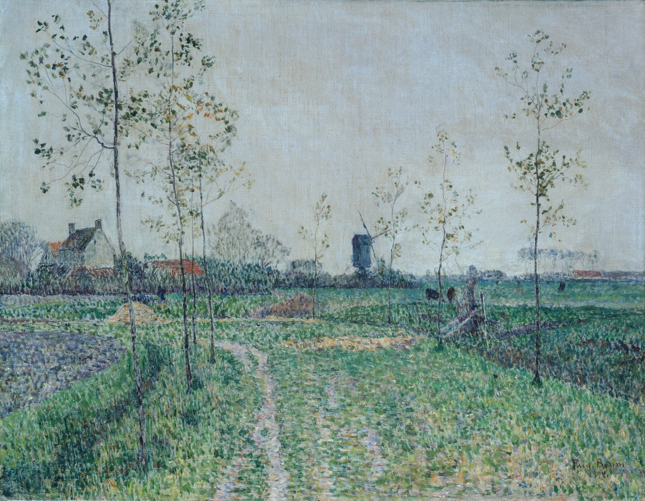 Paysage d