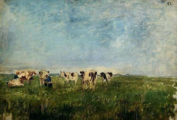 Vaches dans un pré en train d
