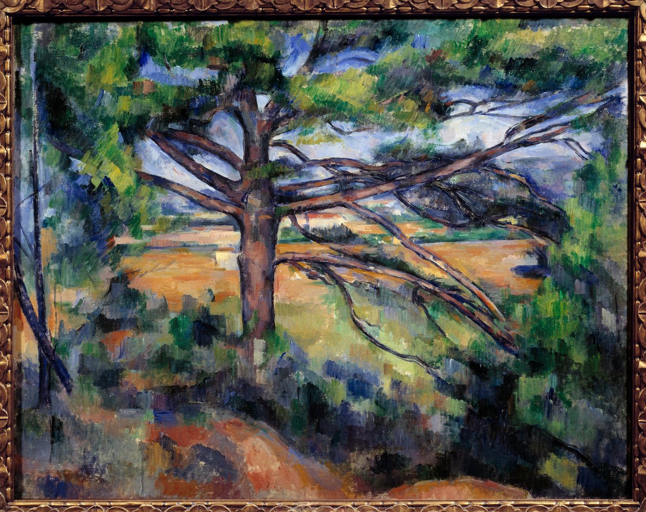 Grand pin près d