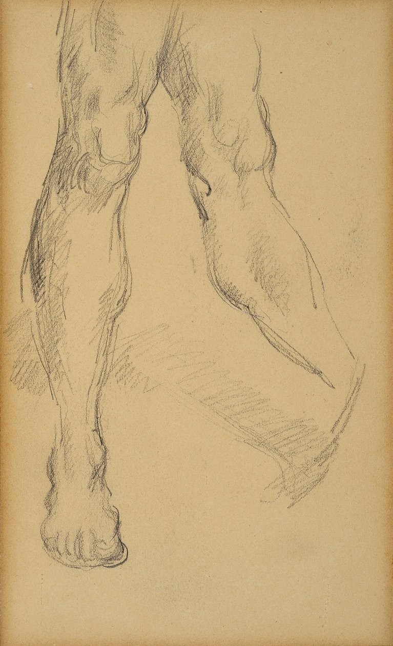 Étude de jambes - Paul Cézanne
