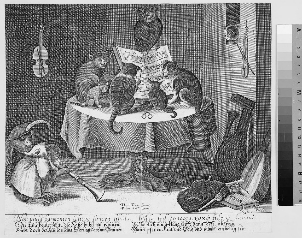 Concert de hibou, chats et singes - Paul Fürst