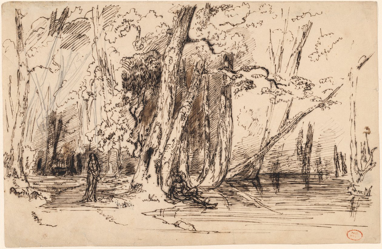 Inondation dans la forêt de l