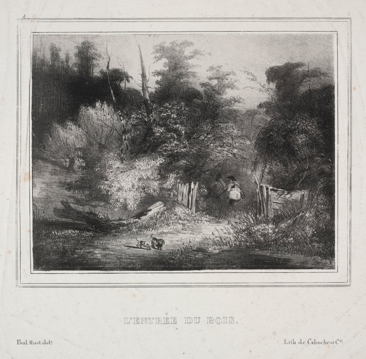 Paysages : L
