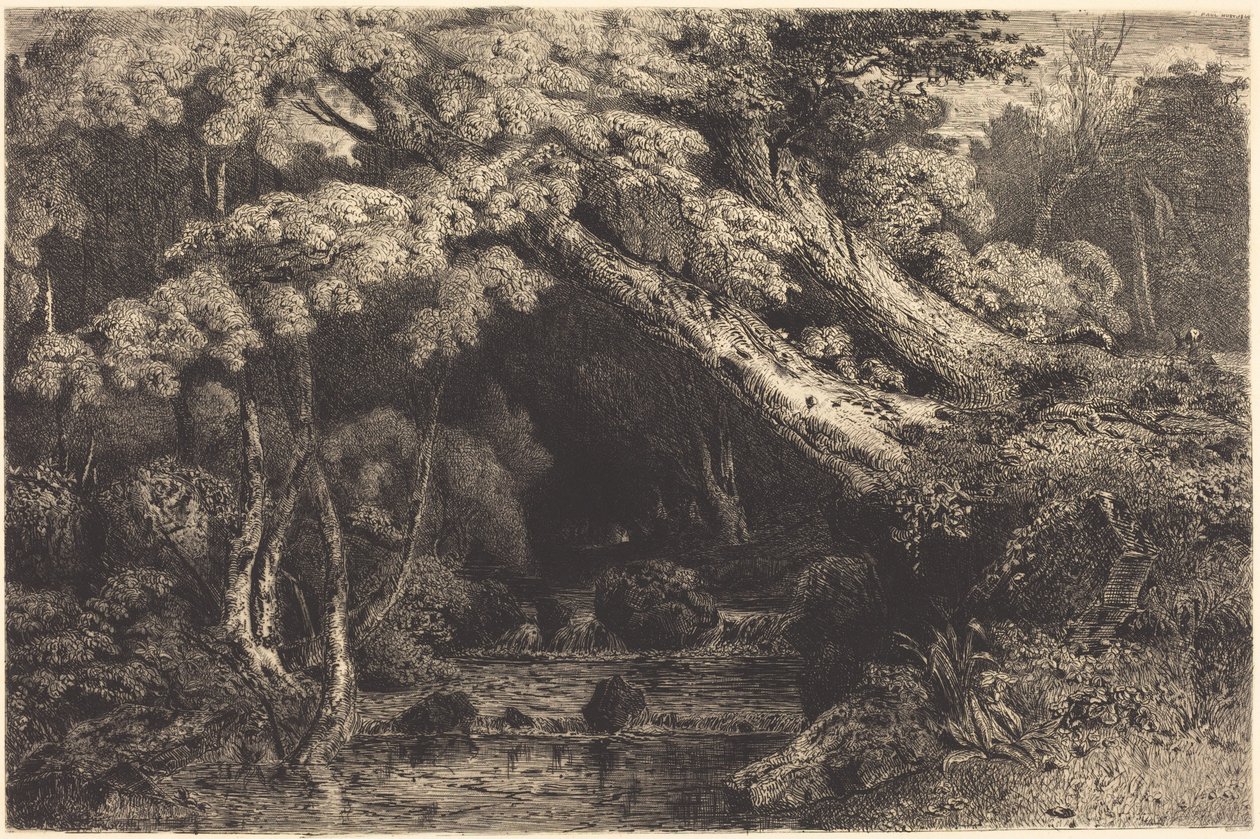 Ruisseau de Saint-Pierre près de Pierrefonds (Ruisseau de Saint-Pierre, près de Pierrefonds) - Paul Huet