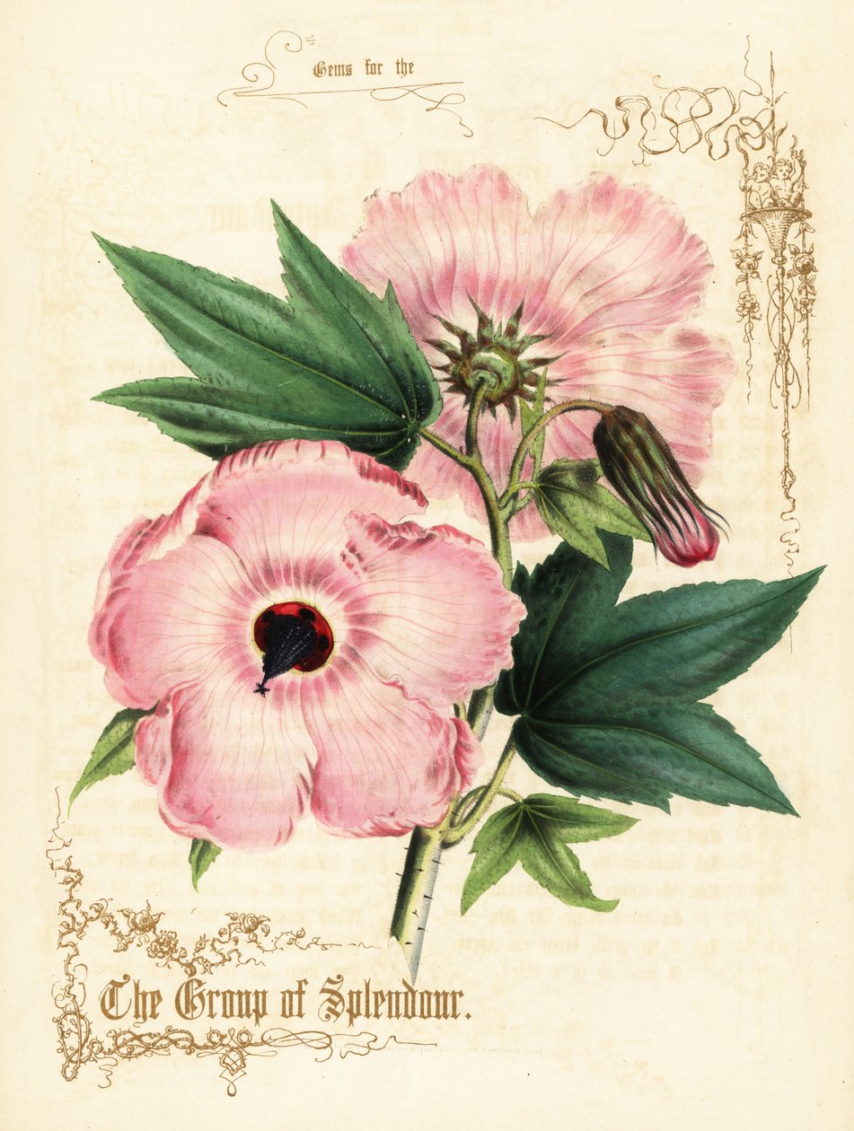 Fleurs et feuillage d