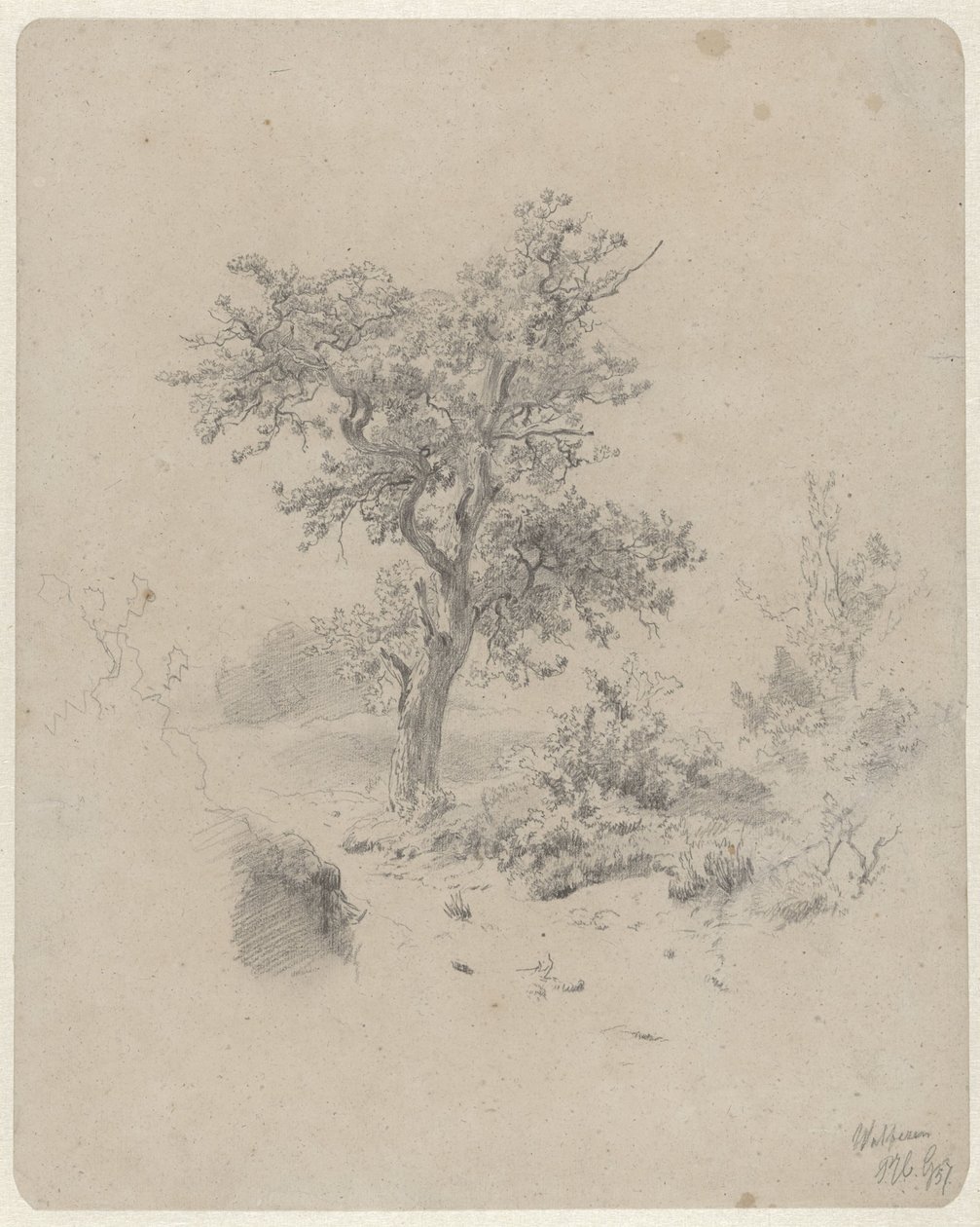 Paysage avec chêne - Paul Joseph Constantin Gabriel