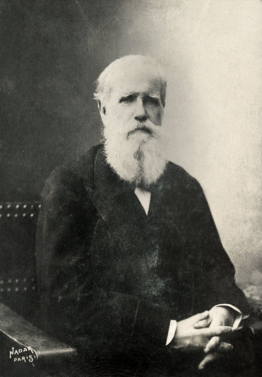  - Paul Nadar