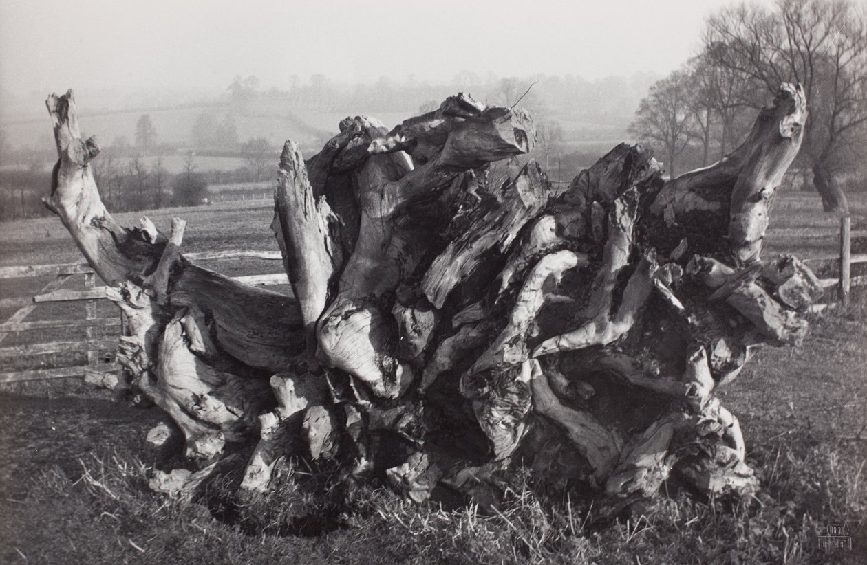 Laocoon", Carswall