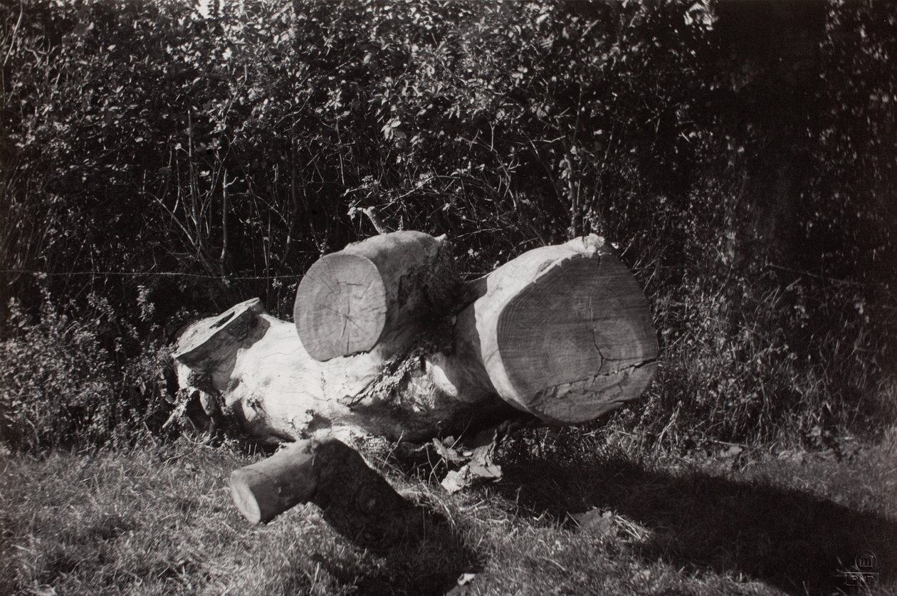 Object Trouve - Paul Nash