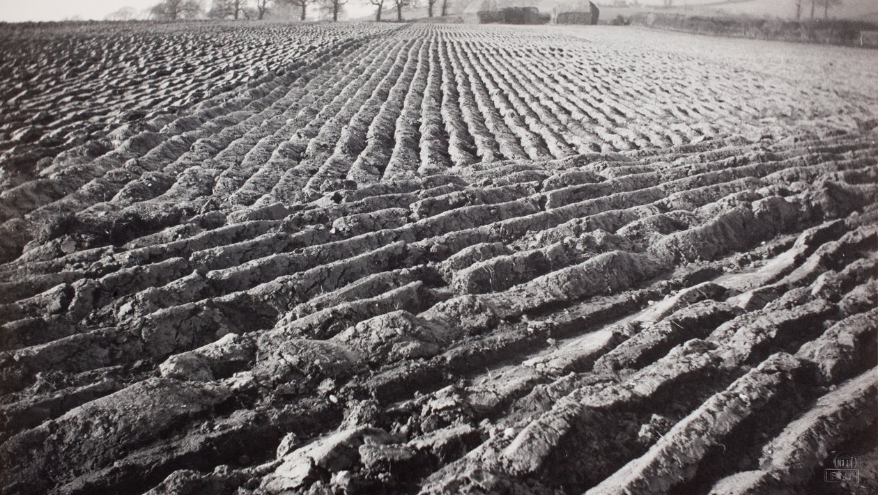 Champ labouré et meules de foin - Paul Nash