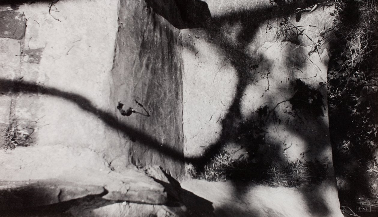Step Edge ; ci-dessous le jardin de Nash à New House, Rye, Sussex - Paul Nash