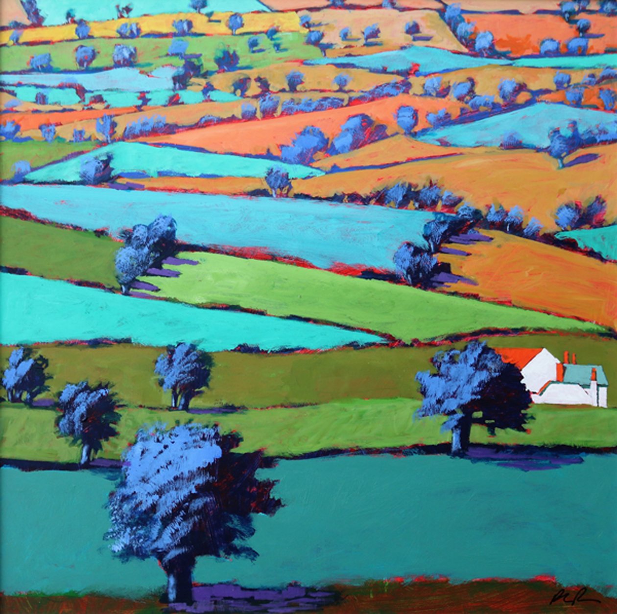 Près de Sidmouth - Paul Powis