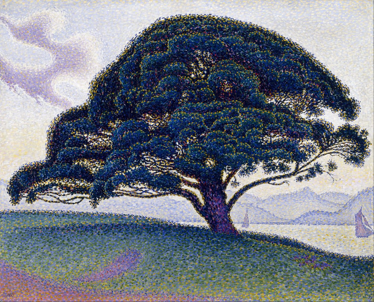 Le pin de Bonaventure - Paul Signac