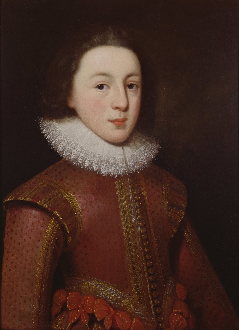Portrait de Henry, Prince de Galles - Paul van Somer