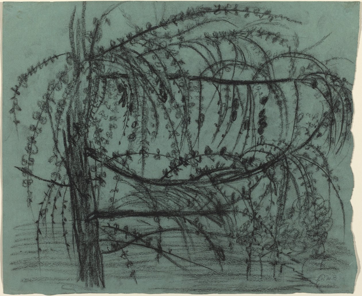 Arbre Fruiter en Fleurs - Paula Modersohn Becker