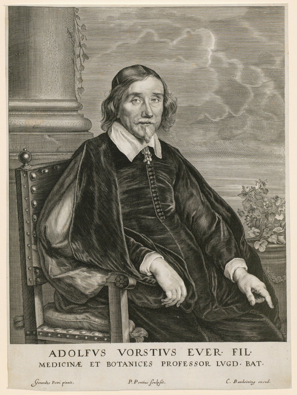 Portrait d