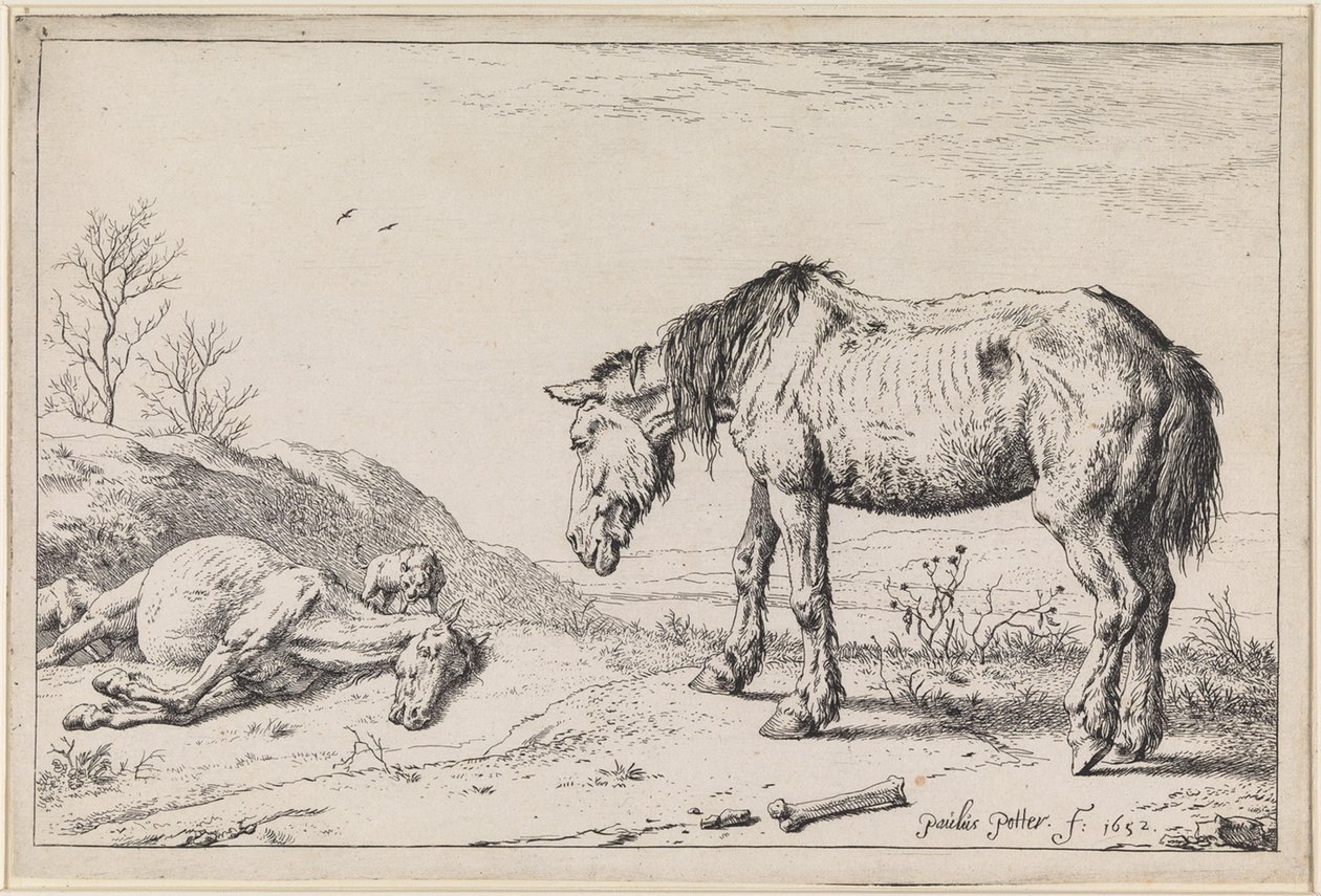 Chevaux épuisés - Paulus Potter