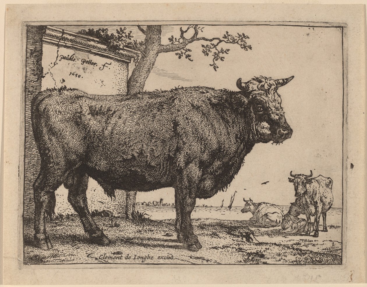 Taureau - Paulus Potter