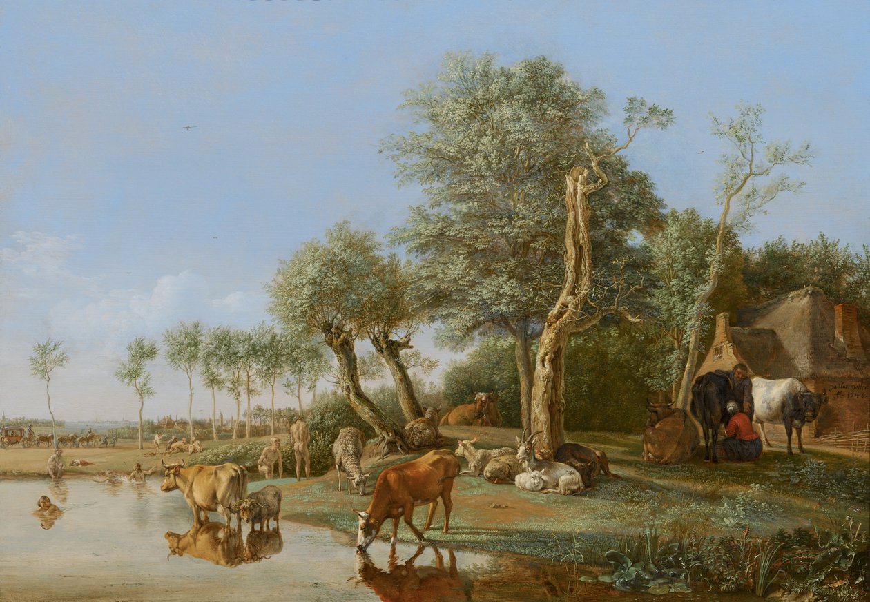 Vaches se reflétant dans l