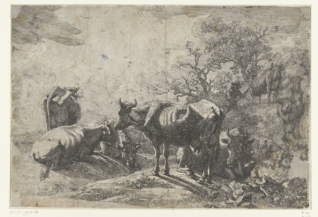 Le berger - Paulus Potter