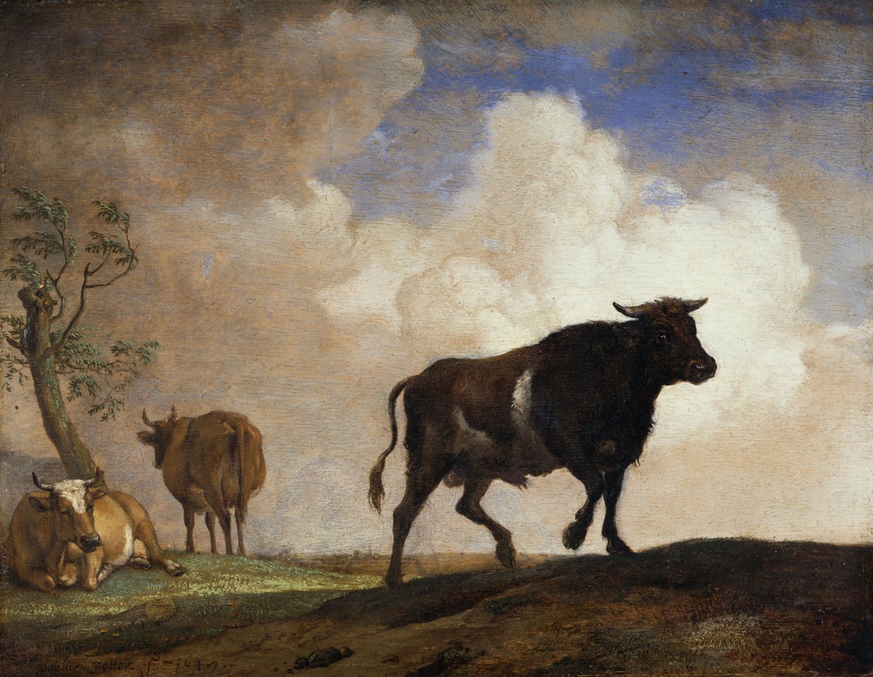 Le Taureau - Paulus Potter