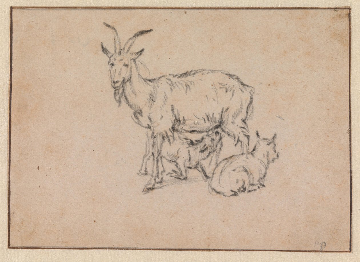 Une chèvre avec deux chevreaux - Paulus Potter