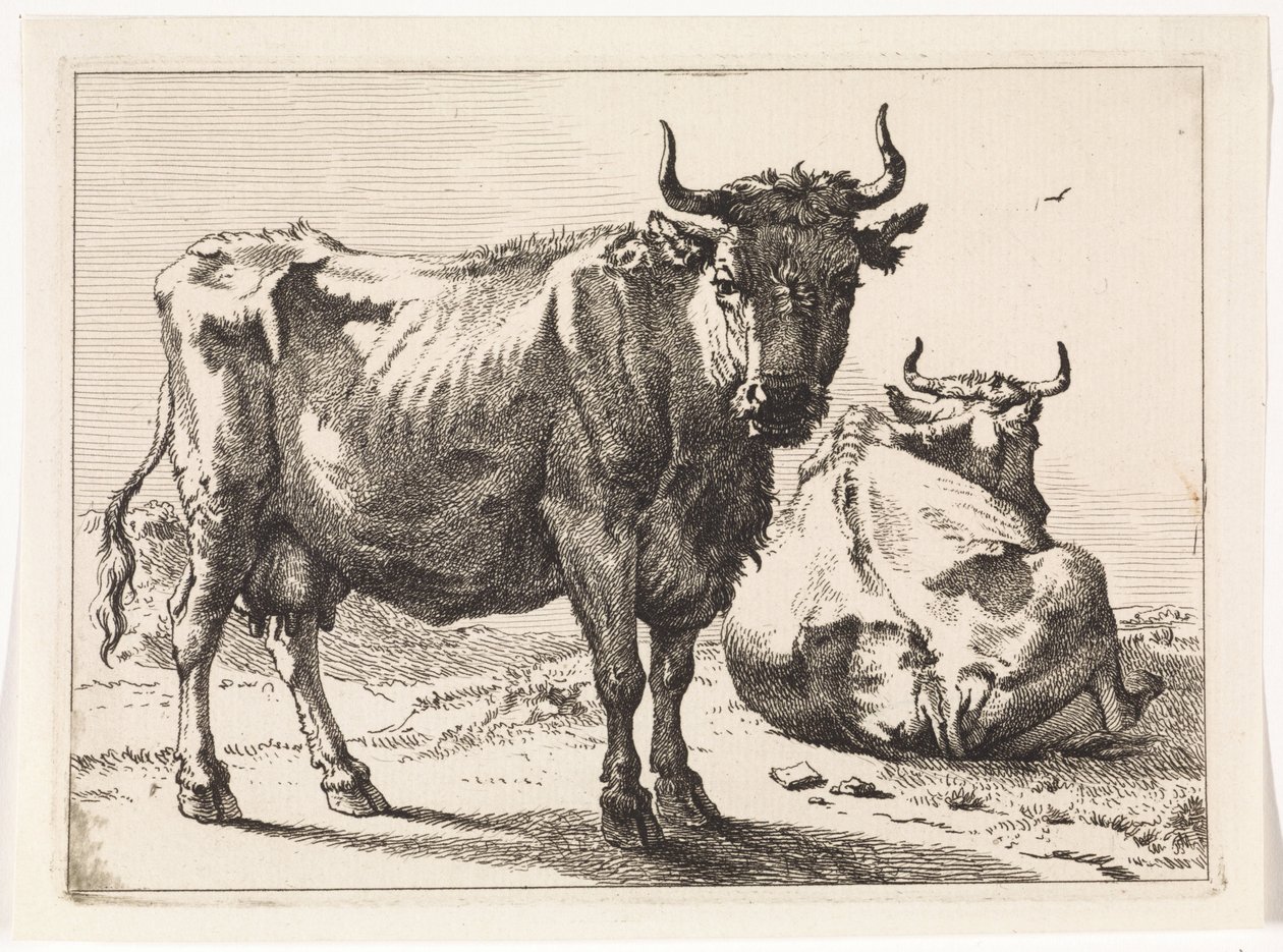 Une vache debout et une vache couchée Het Bullenboekje (titre de la série) - Paulus Potter
