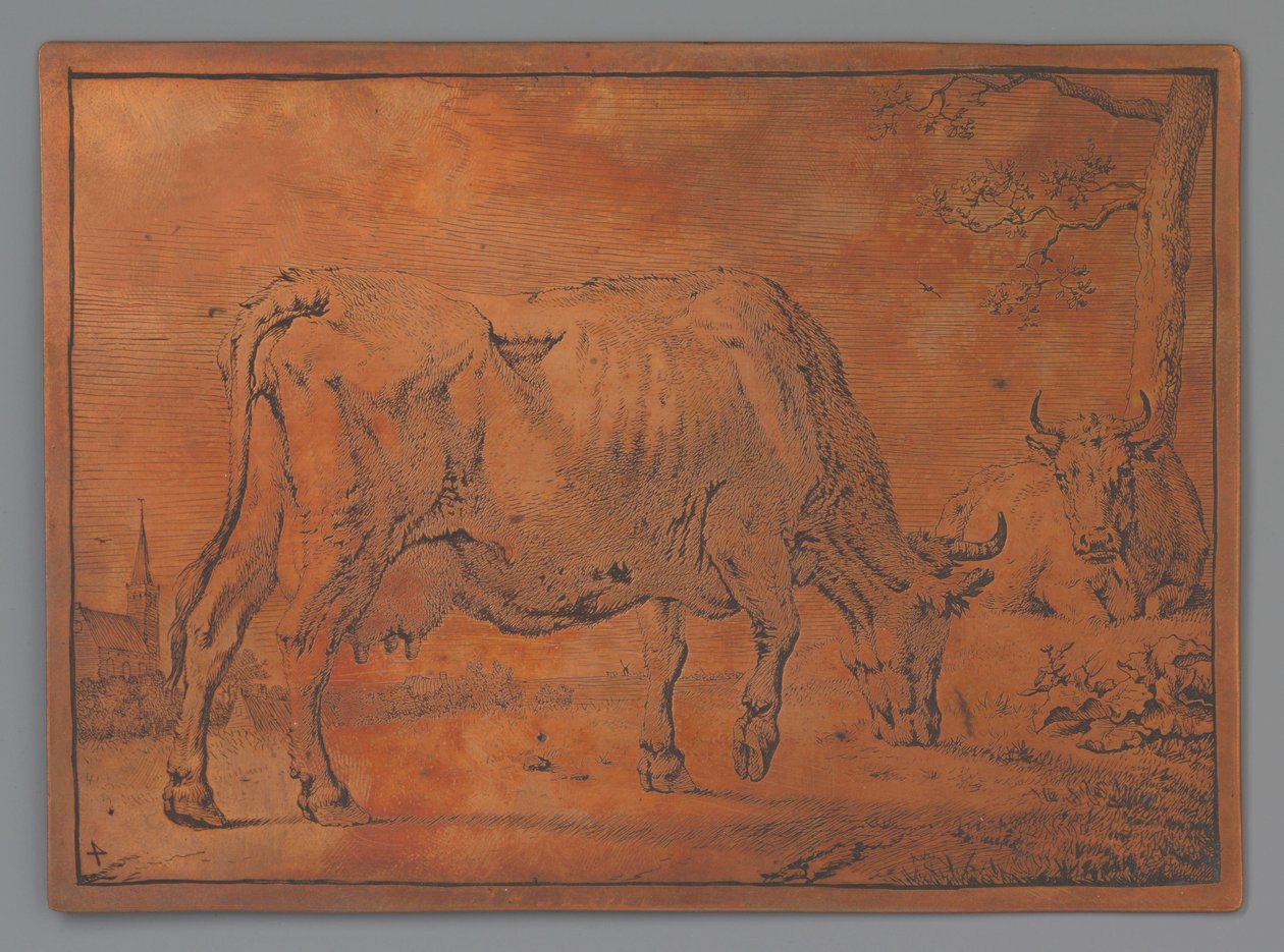 Vache broutant - Paulus Potter