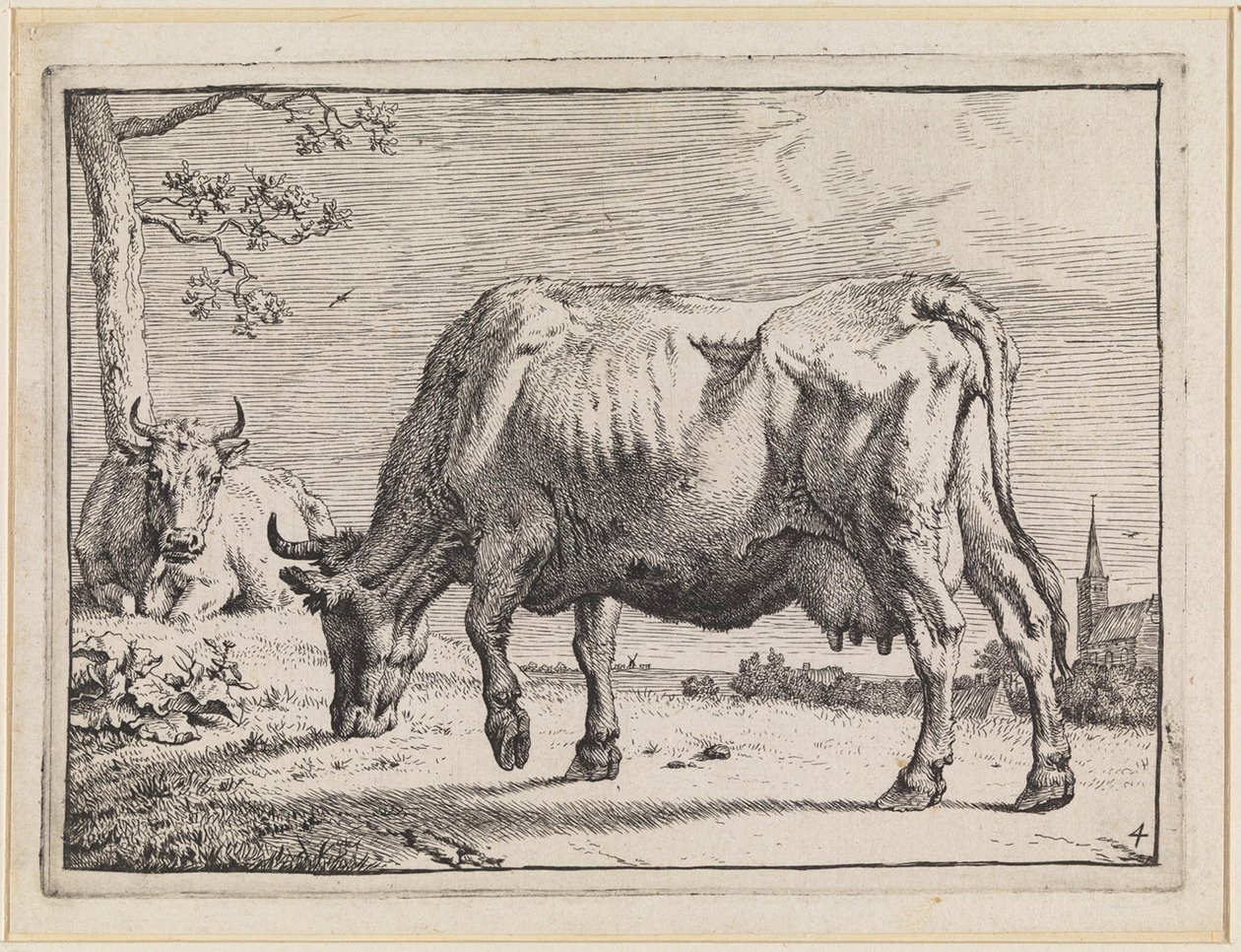 Vache au pâturage - Paulus Potter