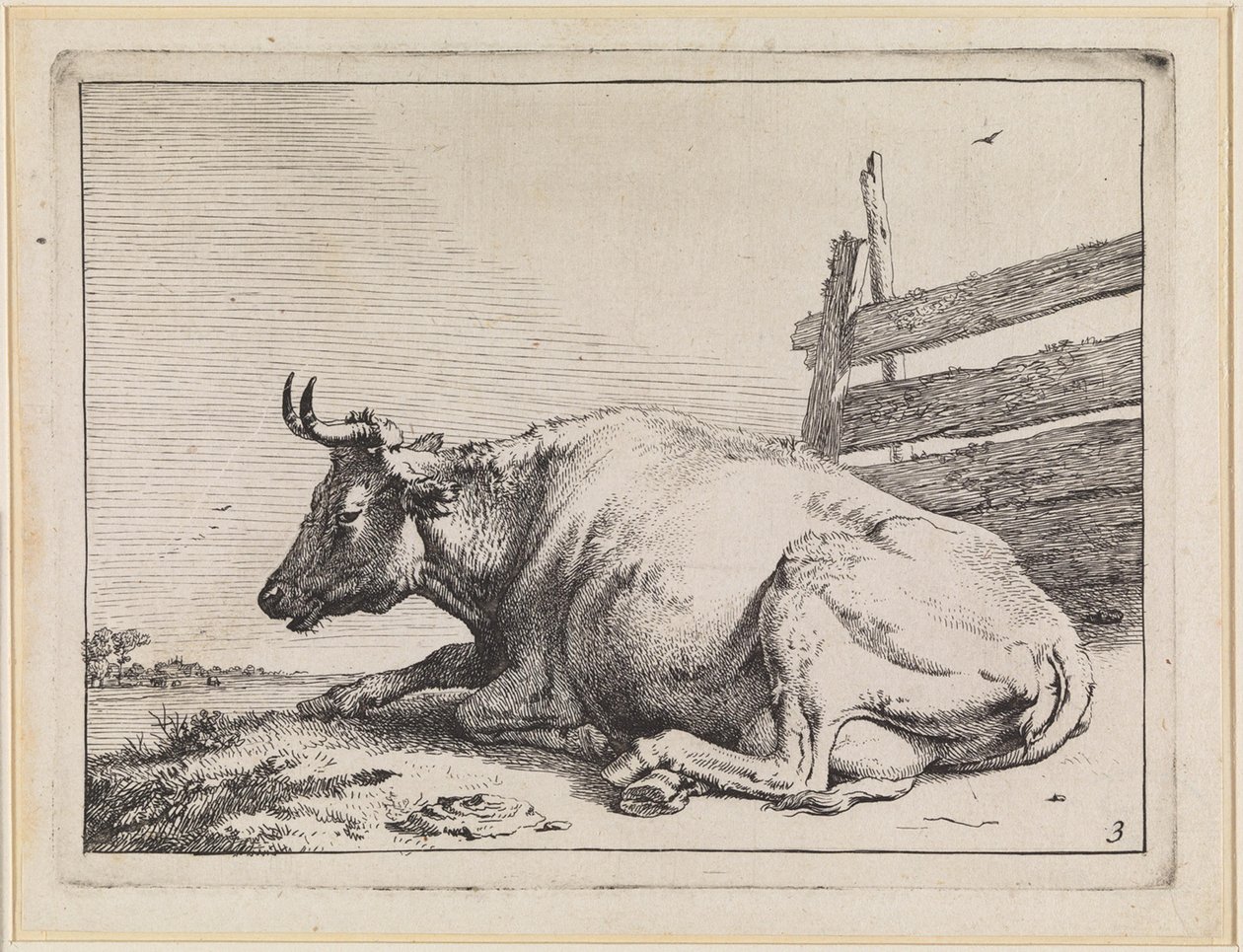 Vache couchée près d