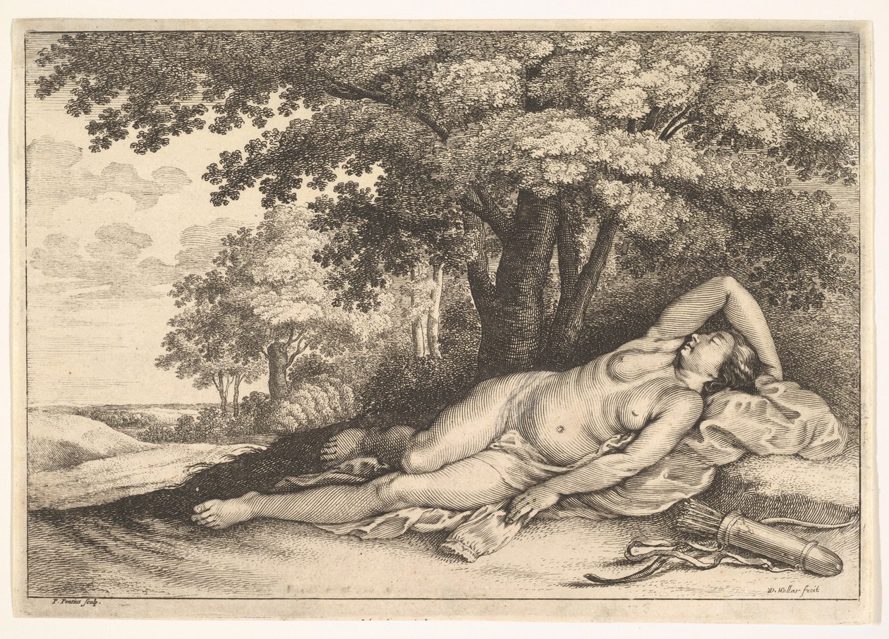 Chasseresse endormie - Paulus Potter