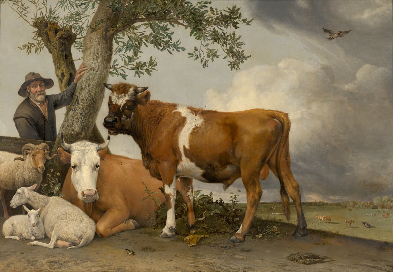 Le taureau - Paulus Potter