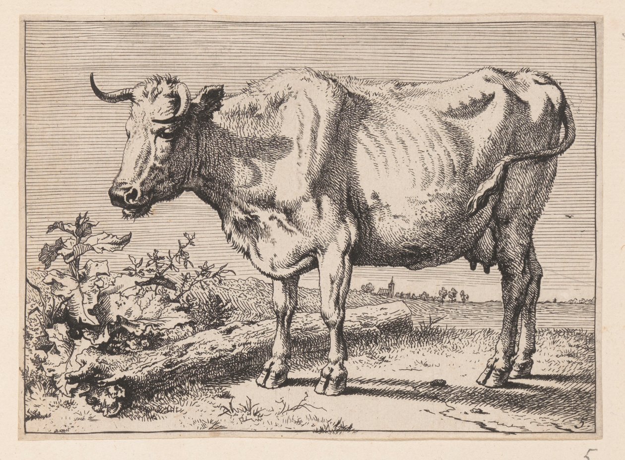 La vache à la corne froissée, de divers bœufs et vaches - Paulus Potter