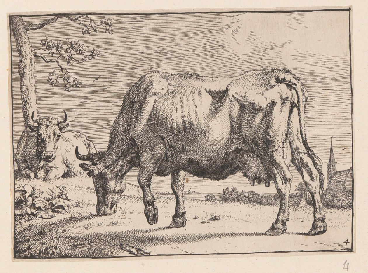La vache en train de brouter, tirée de Différents bœufs et vaches - Paulus Potter