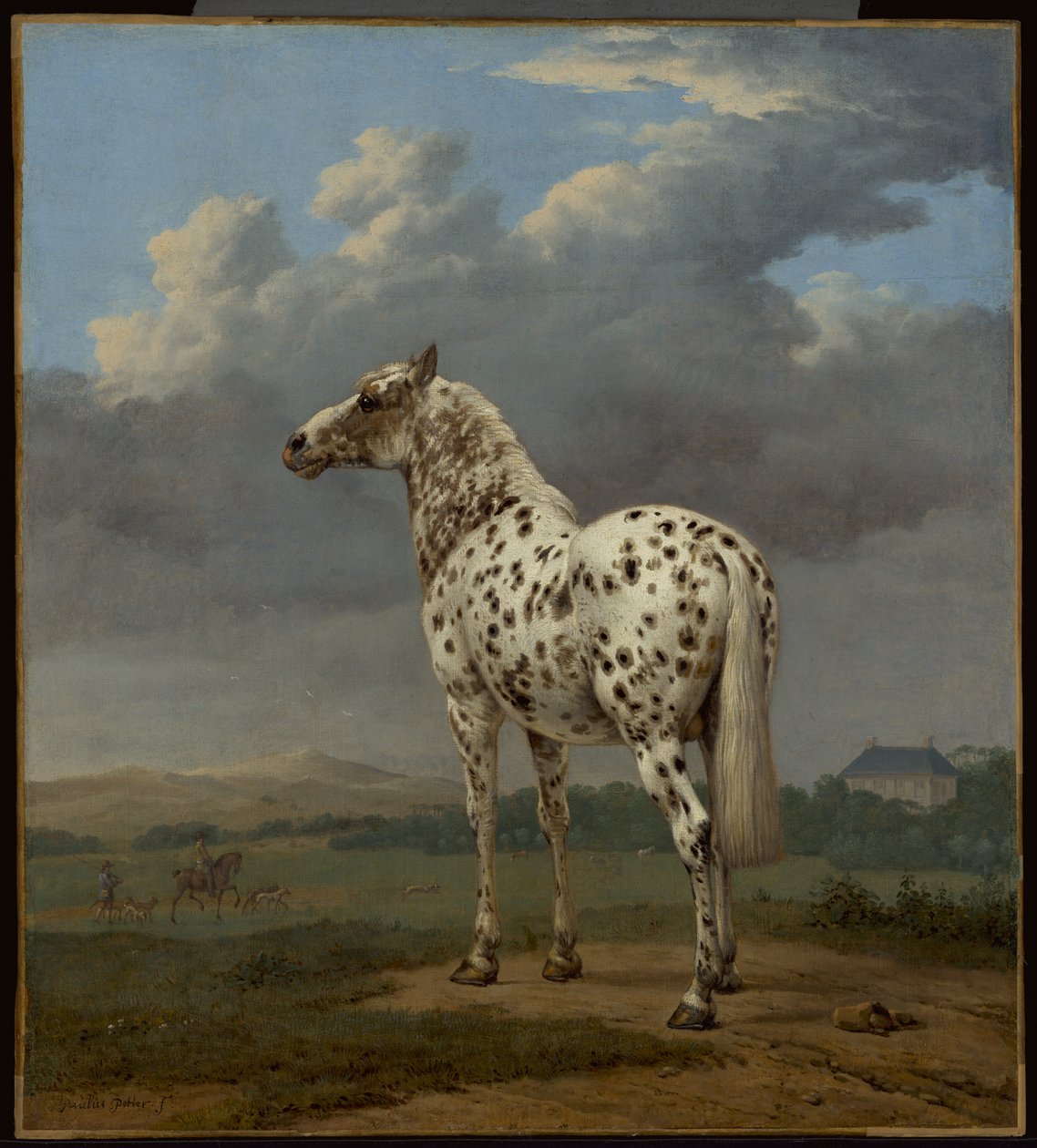 Le cheval "pie - Paulus Potter