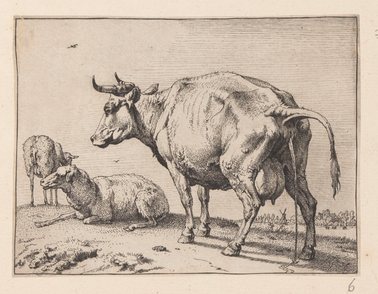 La vache qui pisse, de divers bœufs et vaches - Paulus Potter
