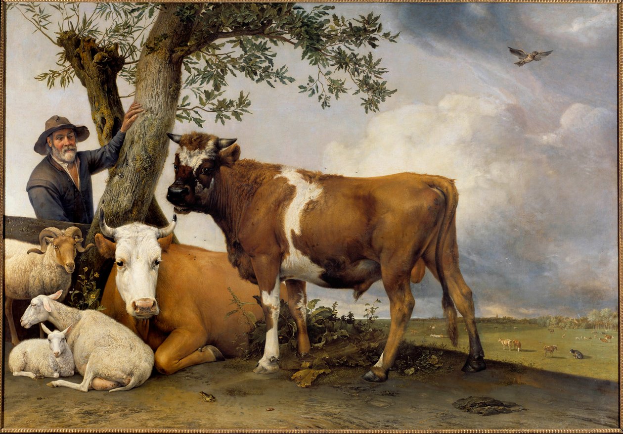 Le jeune taureau - Paulus Potter