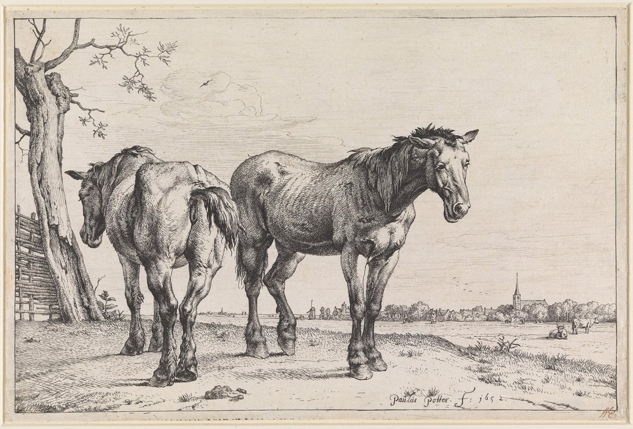 Deux chevaux de labour - Paulus Potter