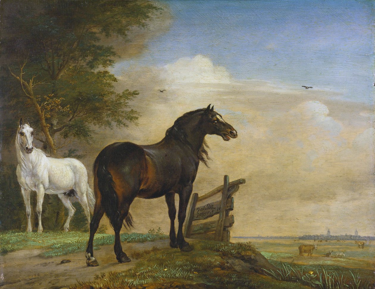 Deux chevaux près d
